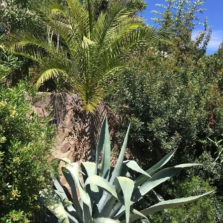 Kleine An Der Cote D'azur By Interhome Сasa de vacaciones
